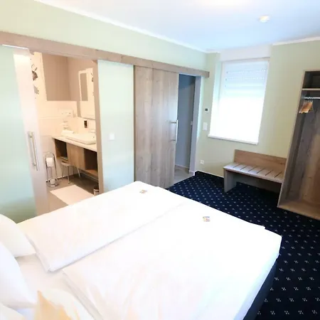 Deutscher Hof Hotel Babenhausen (Hessen)