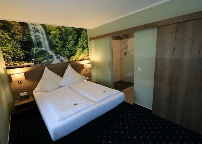 酒店 度茨车霍夫酒店 巴本豪森